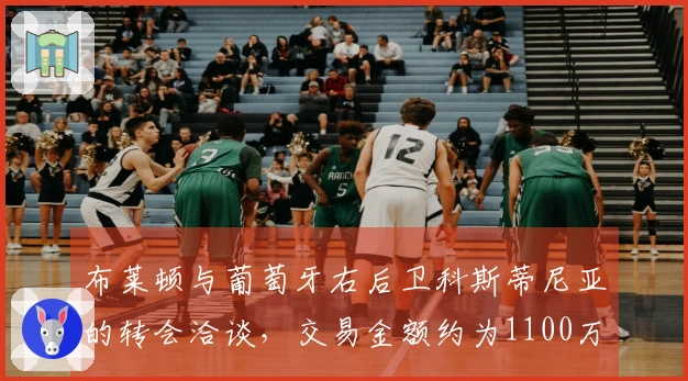 布莱顿与葡萄牙右后卫科斯蒂尼亚的转会洽谈，交易金额约为1100万镑